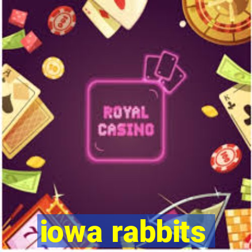 iowa rabbits