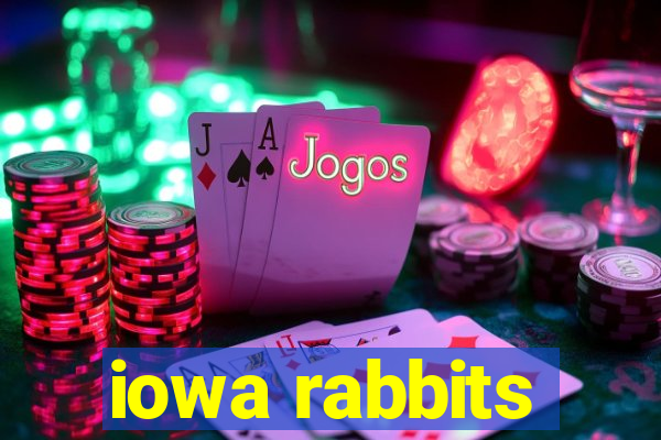 iowa rabbits