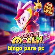 bingo para pc