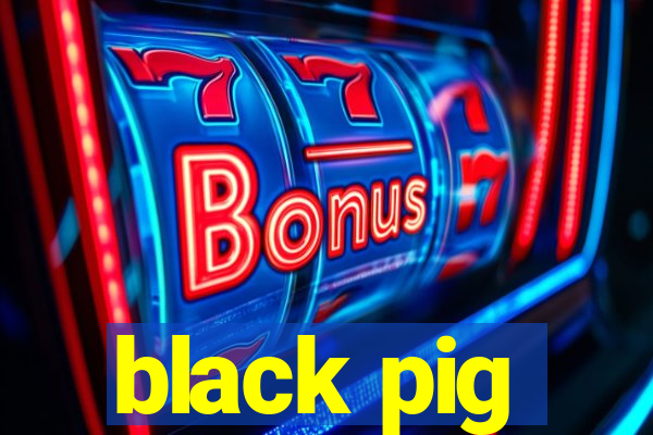 black pig