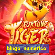 bingo numerico educa??o infantil