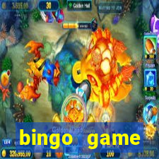 bingo game development company