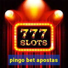 pingo bet apostas