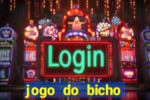 jogo do bicho crash bingo