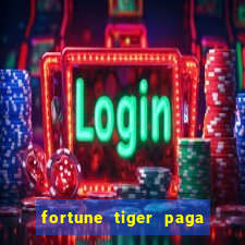 fortune tiger paga de madrugada