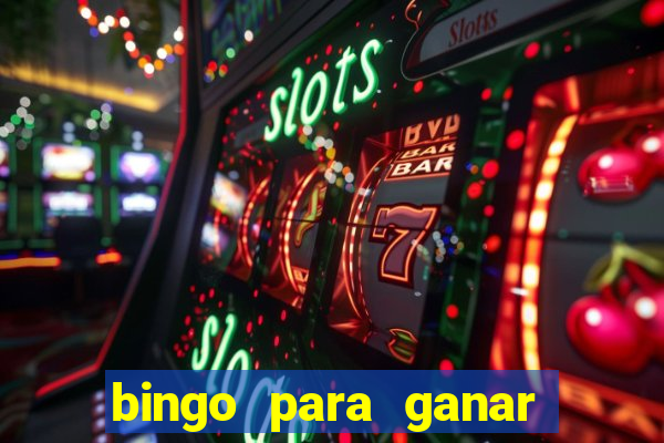 bingo para ganar dinero en paypal