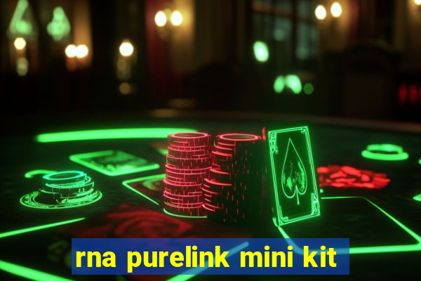 rna purelink mini kit