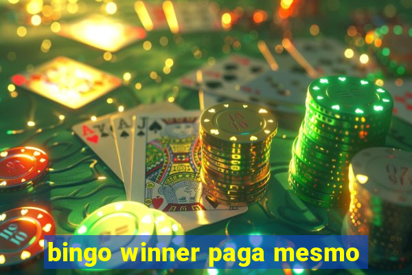 bingo winner paga mesmo