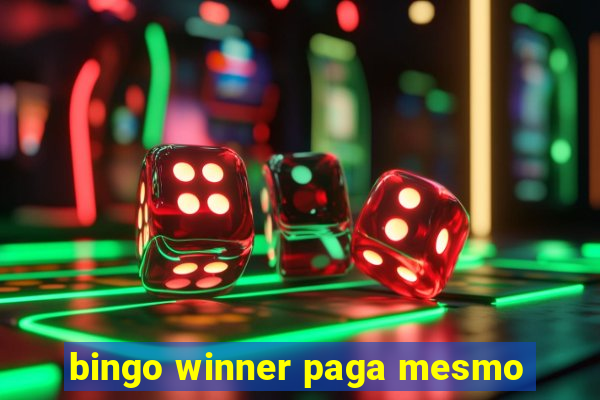 bingo winner paga mesmo