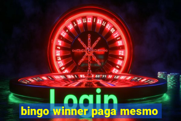 bingo winner paga mesmo