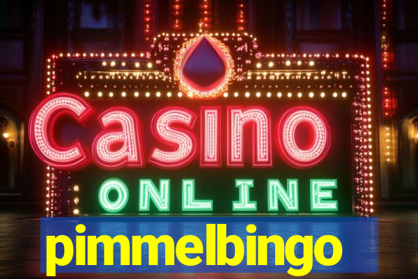 pimmelbingo