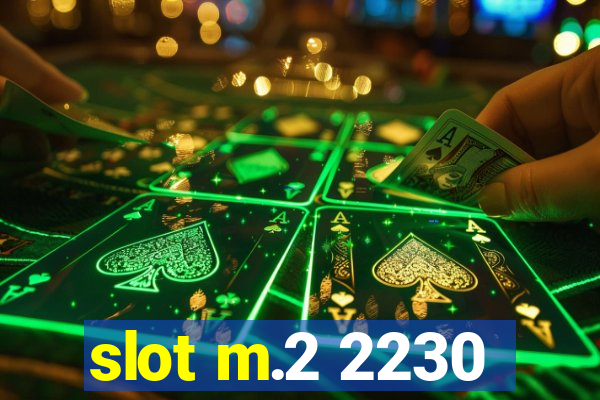 slot m.2 2230