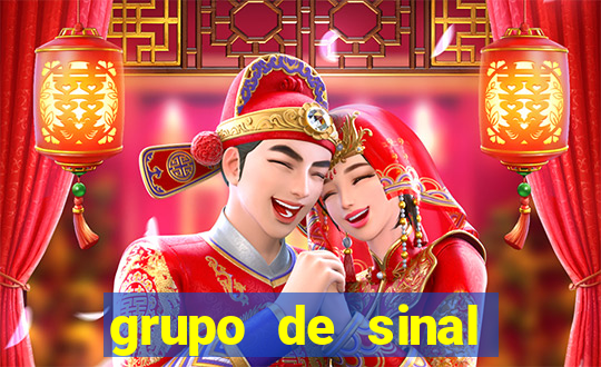 grupo de sinal fortune tiger