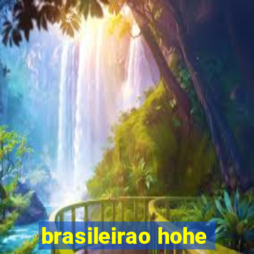 brasileirao hohe