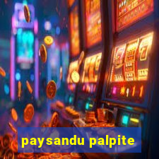 paysandu palpite