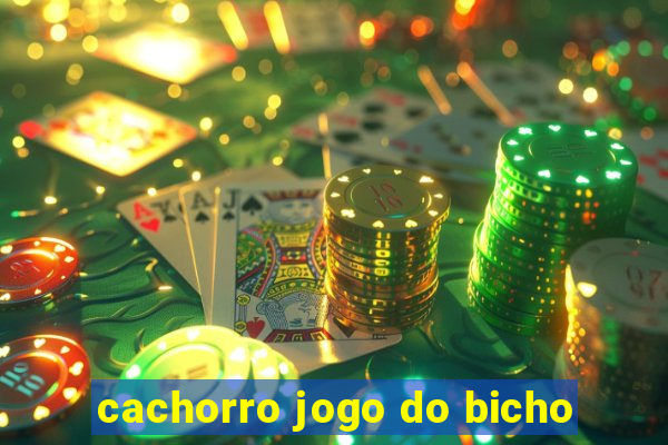 cachorro jogo do bicho