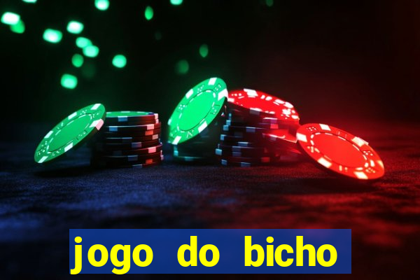 jogo do bicho fazer aposta