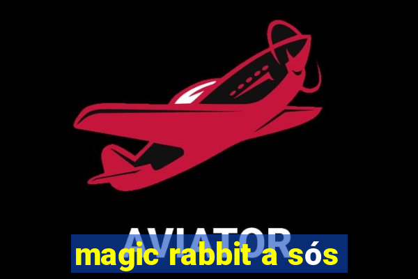 magic rabbit a sós