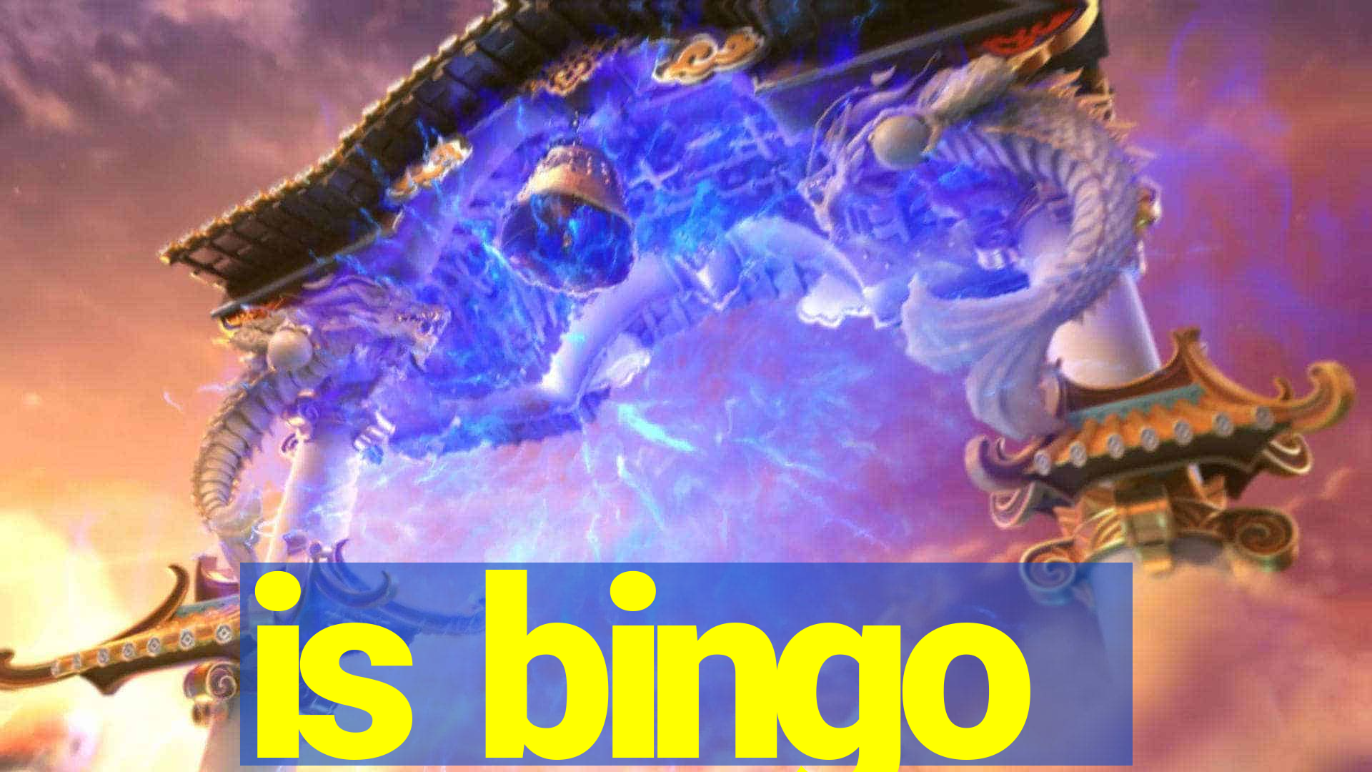 is bingo