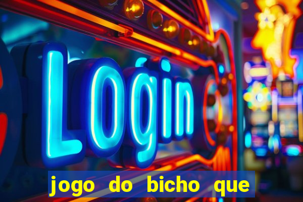 jogo do bicho que paga no pix