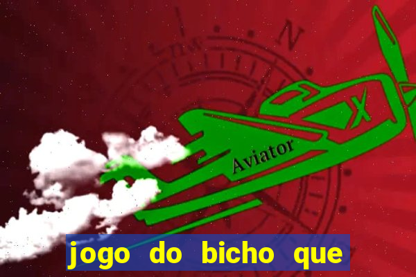 jogo do bicho que paga no pix