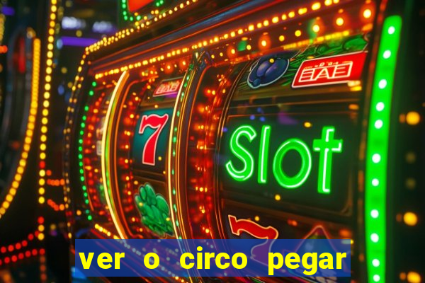 ver o circo pegar fogo significado