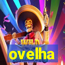 ovelha