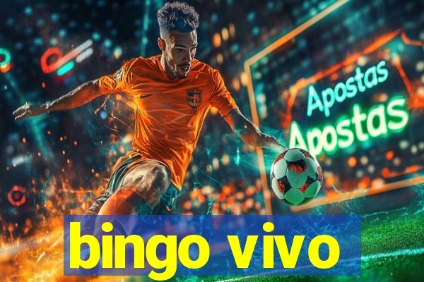 bingo vivo