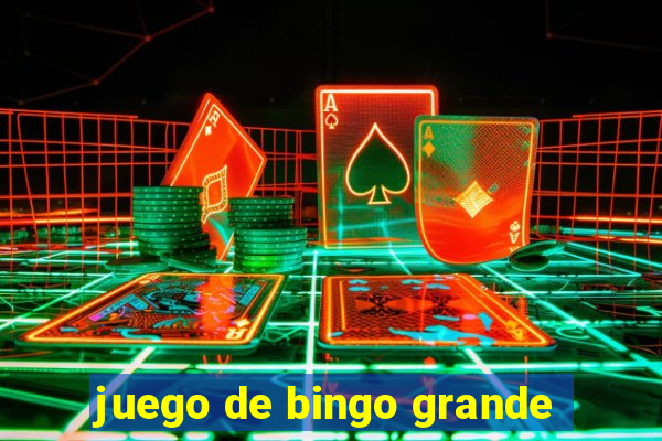 juego de bingo grande