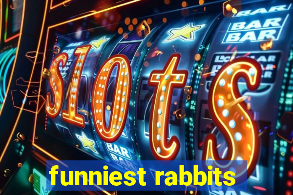 funniest rabbits