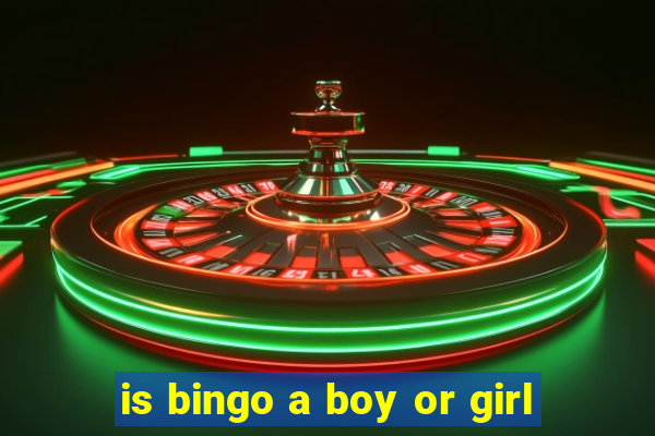 is bingo a boy or girl