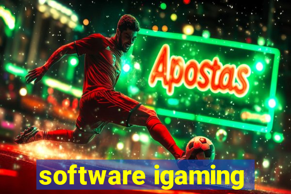 software igaming