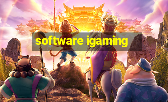 software igaming