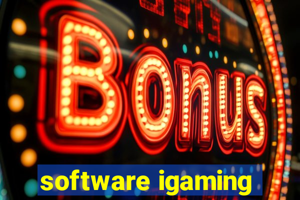 software igaming