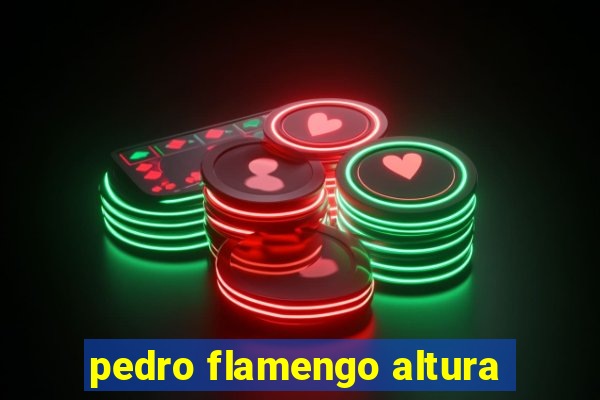 pedro flamengo altura