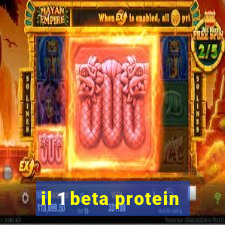 il 1 beta protein