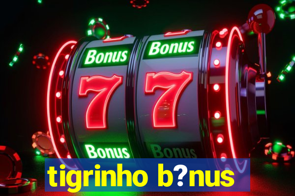 tigrinho b?nus