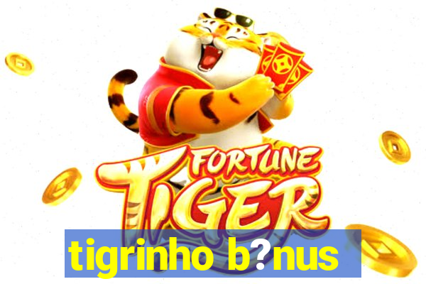 tigrinho b?nus