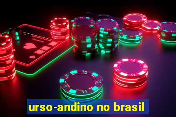 urso-andino no brasil