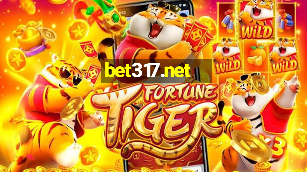 bet317.net