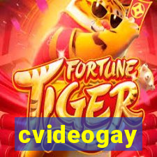 cvideogay