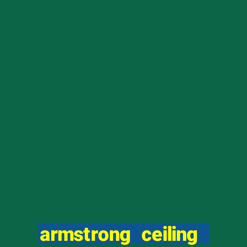 armstrong ceiling grid slot punch