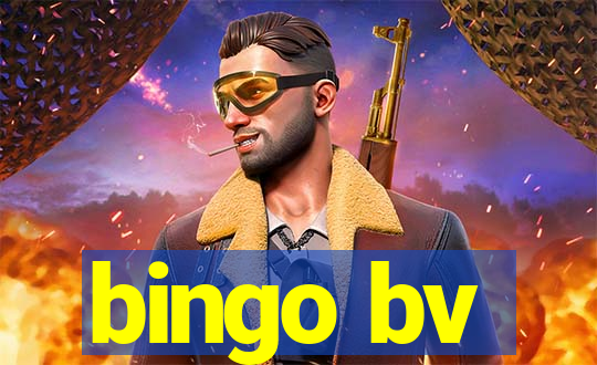 bingo bv