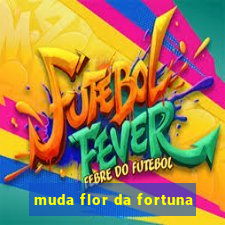 muda flor da fortuna