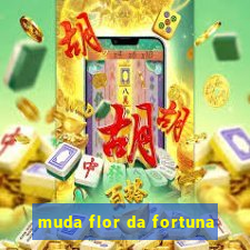 muda flor da fortuna