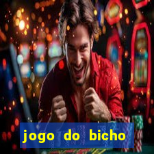 jogo do bicho ganhar dinheiro