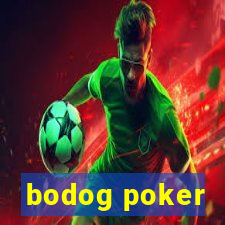 bodog poker