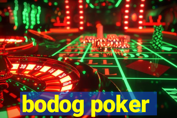 bodog poker