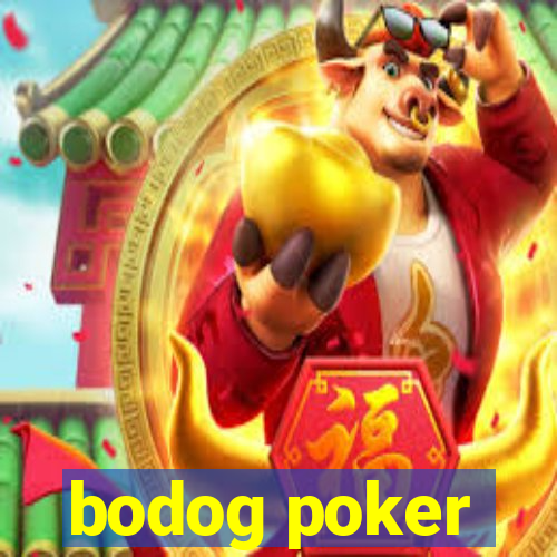 bodog poker