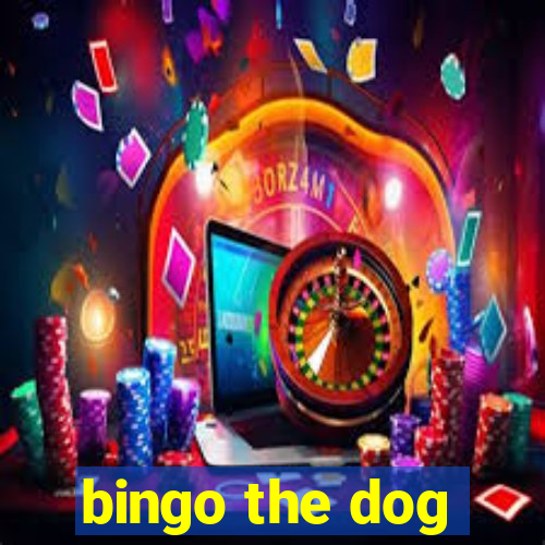 bingo the dog